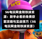 SG电玩网金刚铁球资源:新手必看的免费获取攻略与实战技巧(SG电玩网金刚铁球资源) 第1张 SG电玩网金刚铁球资源:新手必看的免费获取攻略与实战技巧(SG电玩网金刚铁球资源) 第1张