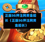 正版SG押注网黄金船长（正版SG押注网黄金船长）  第1张